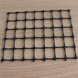 新聞 湛江土工格柵價格 拓聯(lián)集團(tuán)