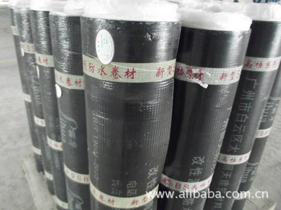 廣州麗天防水材料 卓越品質，守護建筑安全