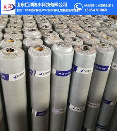 深入解析杭州與山東巨洋耐根穿刺防水卷材 關(guān)鍵技術(shù)、檢測標準與市場應(yīng)用