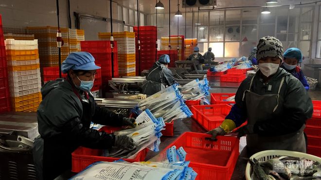 濱州60余家漁業(yè)企業(yè)全力備戰(zhàn)春節(jié)水產品市場供應