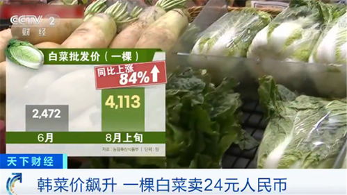 韓國民眾叫苦不迭 菜價水產品價格一路飆升，生活壓力陡增