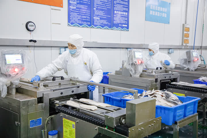 開辟綠色生命通道，海安中洋集團200噸水產食品馳援上海保供穩鏈