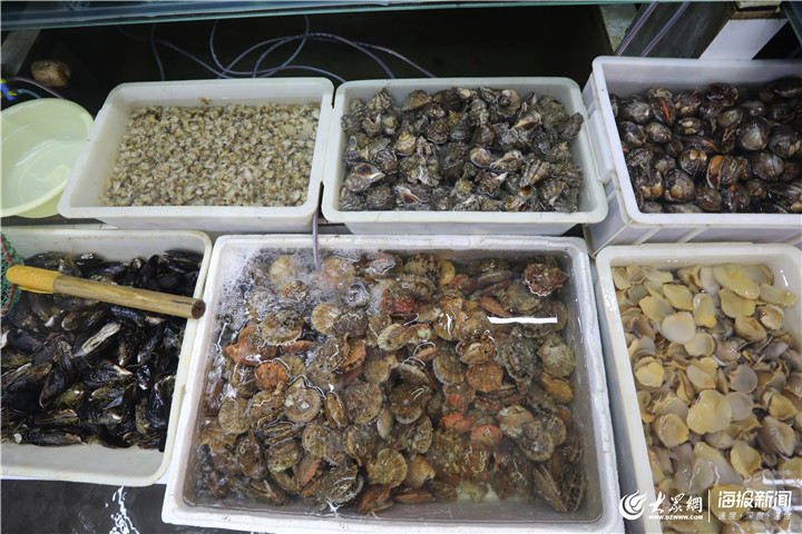青島 休漁期水產(chǎn)品批發(fā)市場貨源充足，品類豐富價(jià)格穩(wěn)