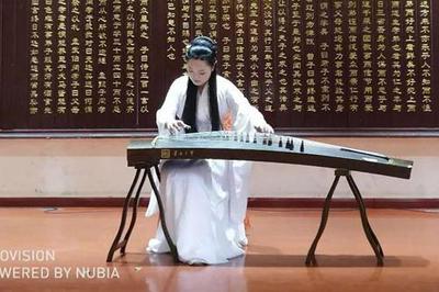 第八屆中國(國際)器樂文化藝術節南陽站演出活動圓滿舉行，助推文化藝術交流新篇章